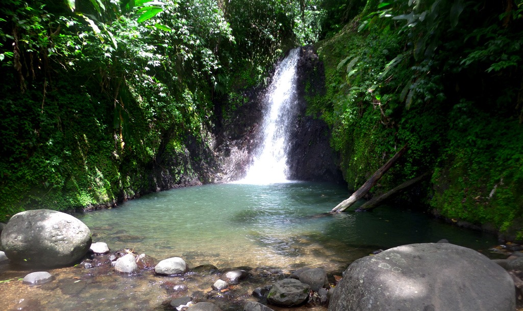 Short Hike to Seven Sisters Falls in Grenada